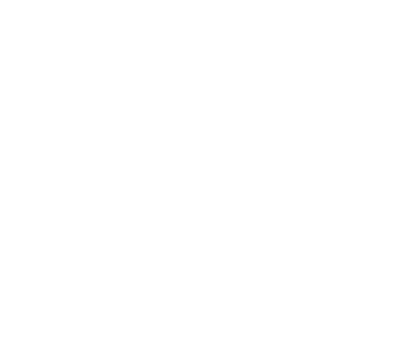  Stemma Roma Servizi per la Mobilità S.r.l.